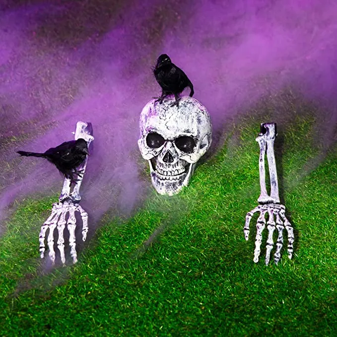 Joyin 3 Pcs Skeleton Yard Stake With 2 Crows - Halloween Decorations 7 Joyin 3 Pcs Skeleton Yard Stake With 2 Crows - Halloween Decorations - Image 7