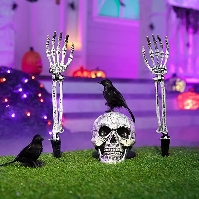 Joyin 3 Pcs Skeleton Yard Stake With 2 Crows - Halloween Decorations