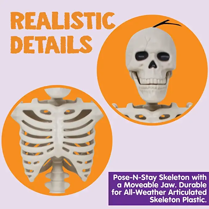 Joyin 5Pcs Posable Halloween Skeleton Decoration - Halloween Decorations 4 Joyin 5Pcs Posable Halloween Skeleton Decoration - Halloween Decorations - Image 4