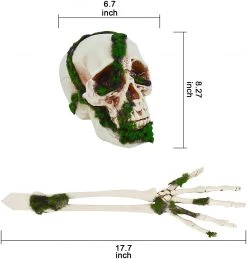 Joyin 3Pcs Skeleton Yard Stakes with Fake Moss - Halloween Decorations -Spooky Home Decor 61ODCKHgyjL. AC SL1500