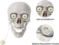 Joyin Skull Table Centerpiece Decoration - Halloween Decorations -Spooky Home Decor 71EEBcCoPhL. AC SL1500