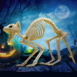 Joyin 2Pcs Halloween Cat Skeleton with Tail - Halloween Decorations -Spooky Home Decor 81TXkTuqNBL. AC SL1500