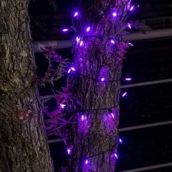 Joiedomi 100-Count Purple LED String Lights 34ft - Halloween Decorations -Spooky Home Decor 915XgvDpCtL. AC SL1500