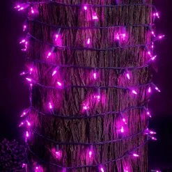 Joiedomi Halloween String Lights 108.6ft - Halloween Decorations -Spooky Home Decor 91kDdCzRnPL. AC SL1500 aa5ae24b 188d 4038 8e14 a447ed52a999
