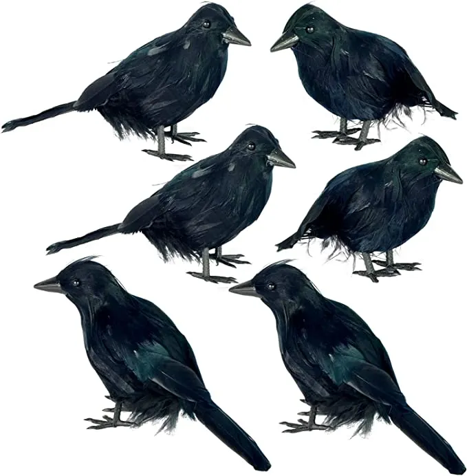 Joyin 6pcs Halloween Crow Decorations - Halloween Decorations