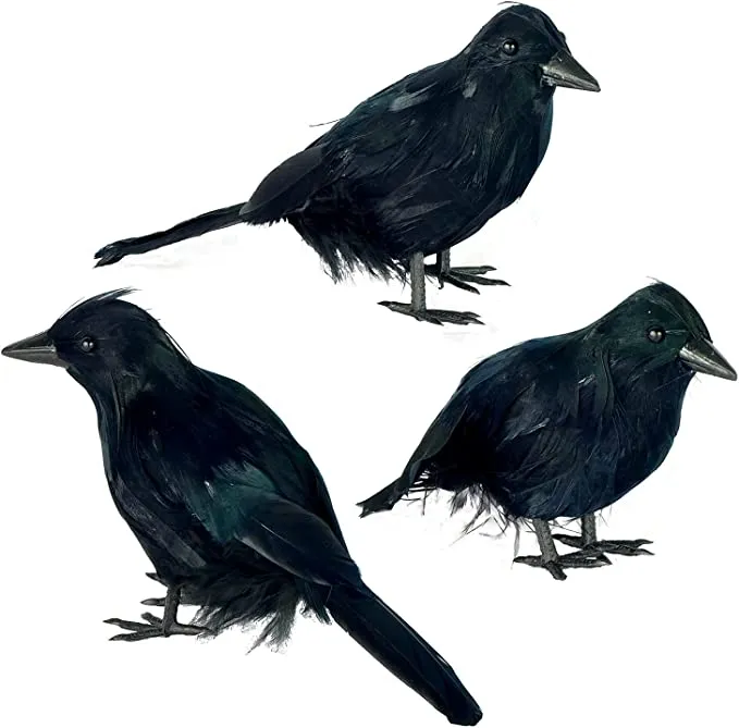 Joyin 6pcs Halloween Crow Decorations - Halloween Decorations 5 Joyin 6pcs Halloween Crow Decorations - Halloween Decorations - Image 5