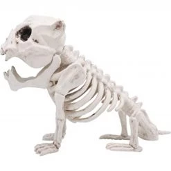 Joyin Puppy Skeleton Pose-N-Stay Halloween Decoration 11in - Halloween Decorations -Spooky Home Decor Puppy Skeleton Pose N Stay Halloween Decoration 11in