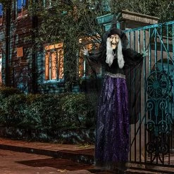 Joyin Hanging Animated Witch Halloween Decoration 47in - Halloween Decorations -Spooky Home Decor WO 39ZM 4DZ84